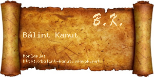 Bálint Kanut névjegykártya